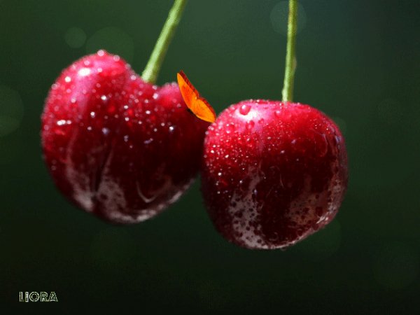 file_90445962