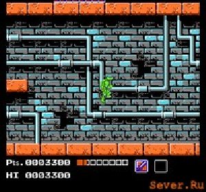 Teenage Mutant Ninja Turtles Rus