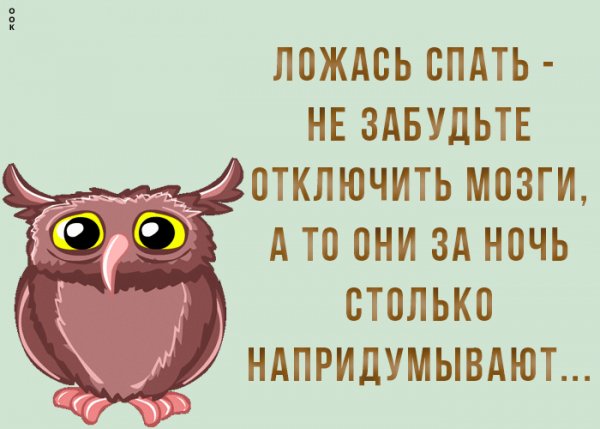 мозги 002200