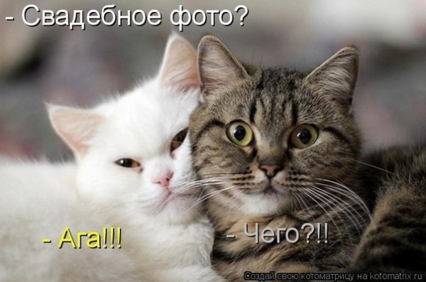 file_46201572