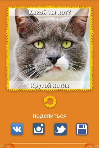 Какой-ты-кот-Сканер-лица