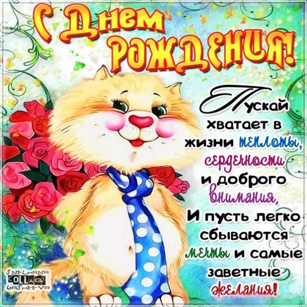IMG 20181122 082925