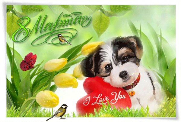 С 8 Марта!