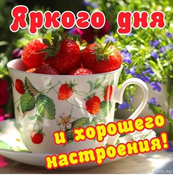 IMG 20190701 133231