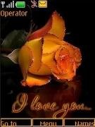 orange-roses anim swf