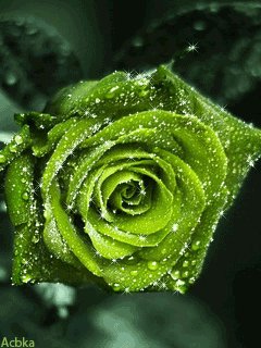file_95150530