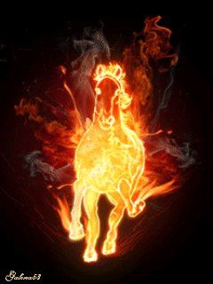 fire horse