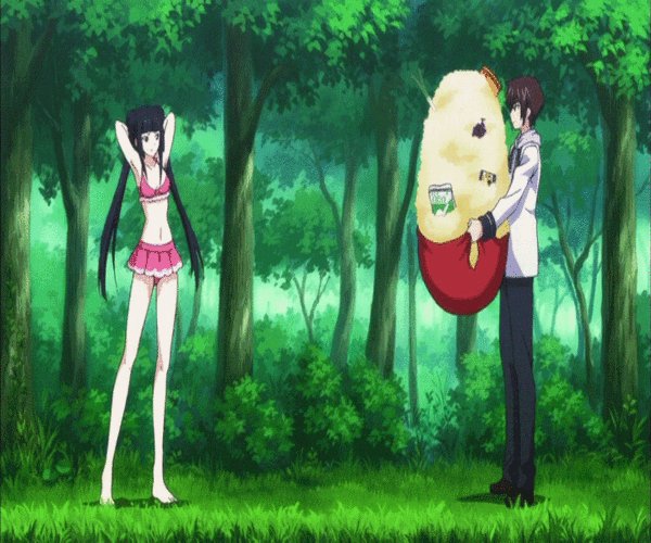 Yukie Mayuzumi(?), Yamato Naoe