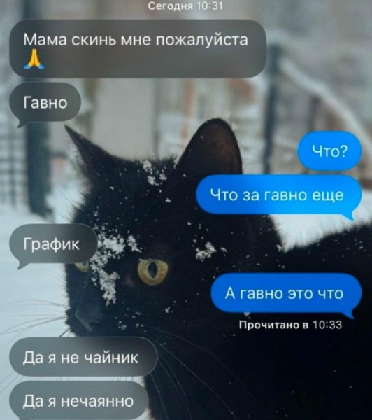 file_102629290