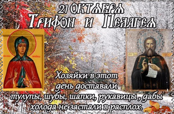 Анимированная открытка 21 октября трифон (2)