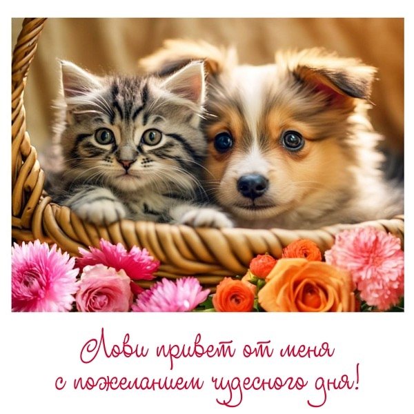 Доброе утро (346)