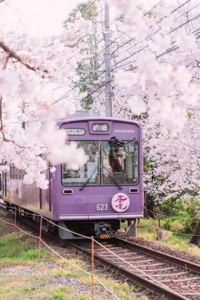 file_96281010
