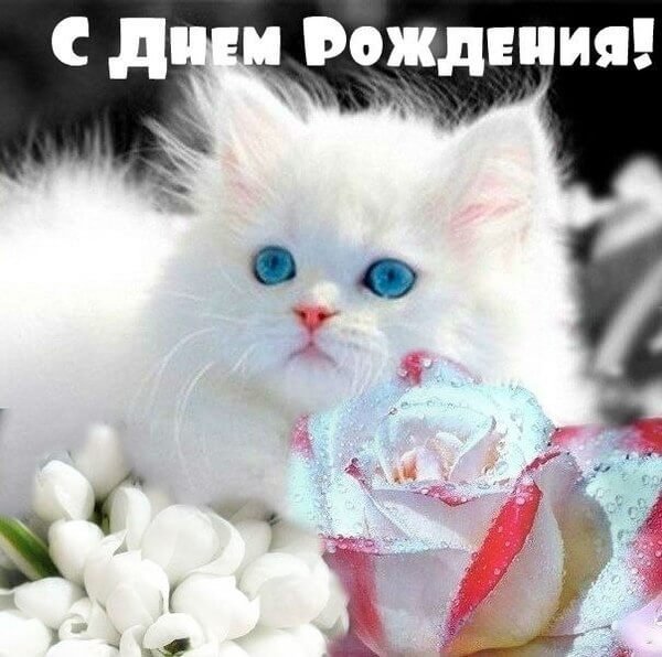 IMG 20181226 986130