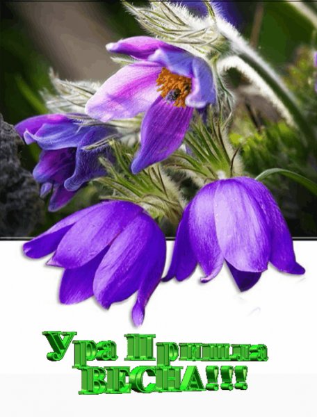 Урапришла весна
