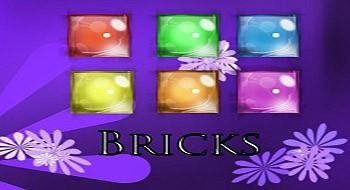 Bricks