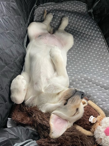 G9KYAFEVSQQVBHZN0NH1Q