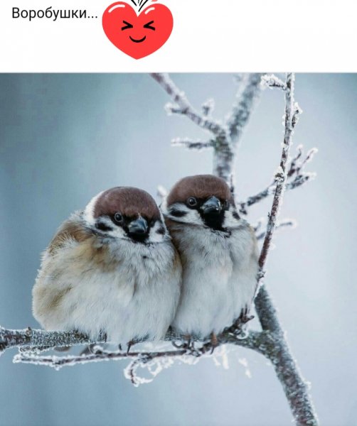 Screenshot 20231127-193941 Chrome