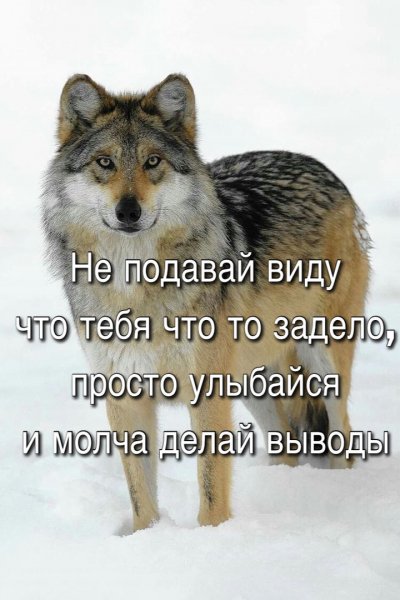 На заметку