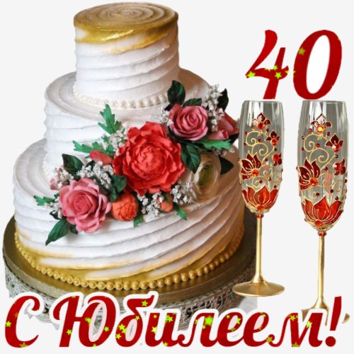 IMG 20221126 131856