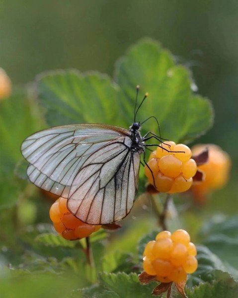 file_94789613