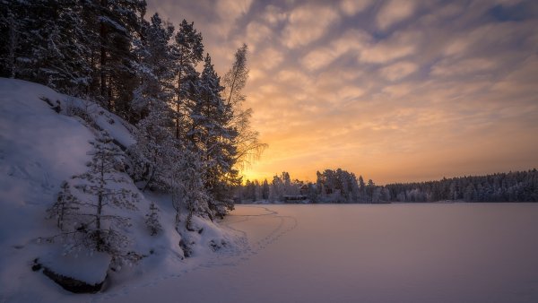 зима Lake Näsijärvi деревья