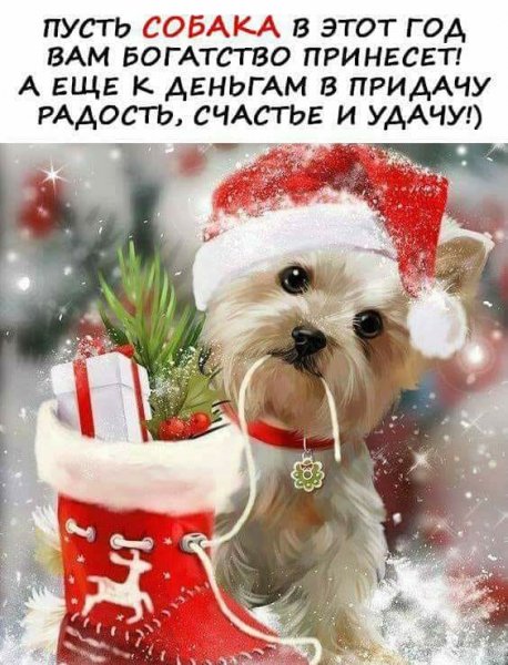 file_71888959