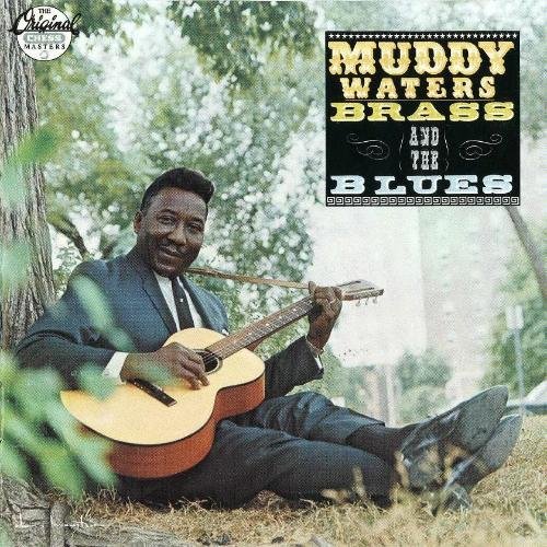 Muddy Waters - Take My Advice