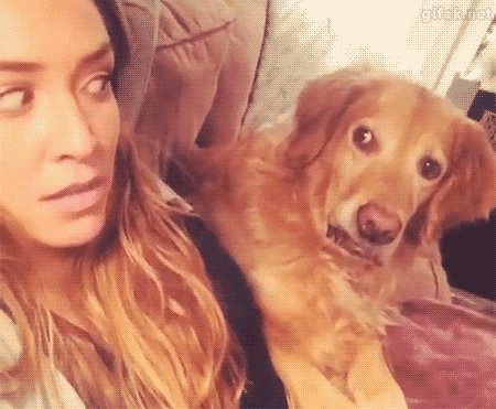gifs 01