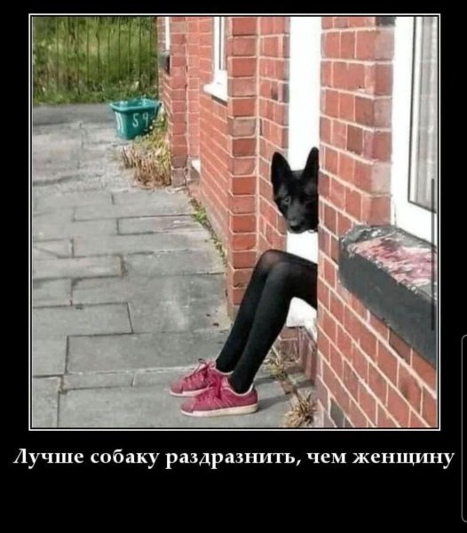 FB IMG 1778007319029