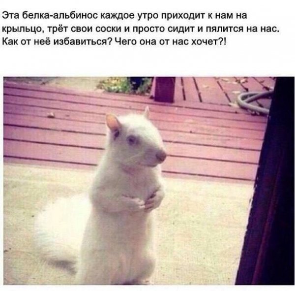 IMG 20260113 214400 360
