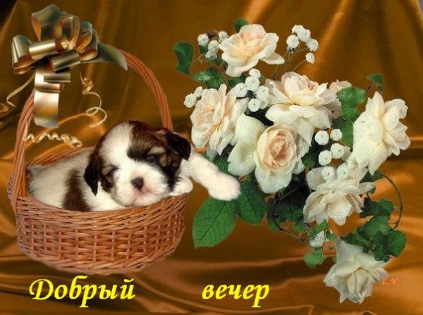 PE5855I9xaQ
