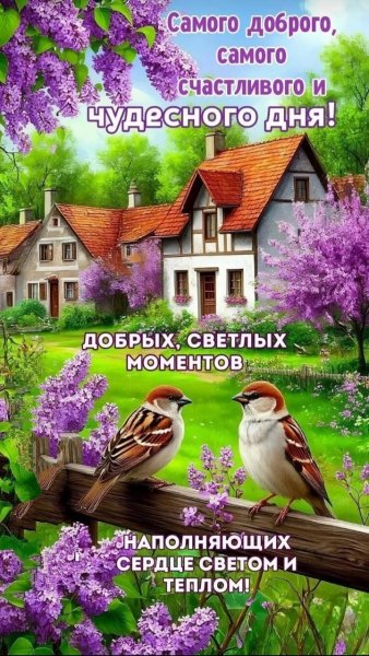 IMG 20260430 170757
