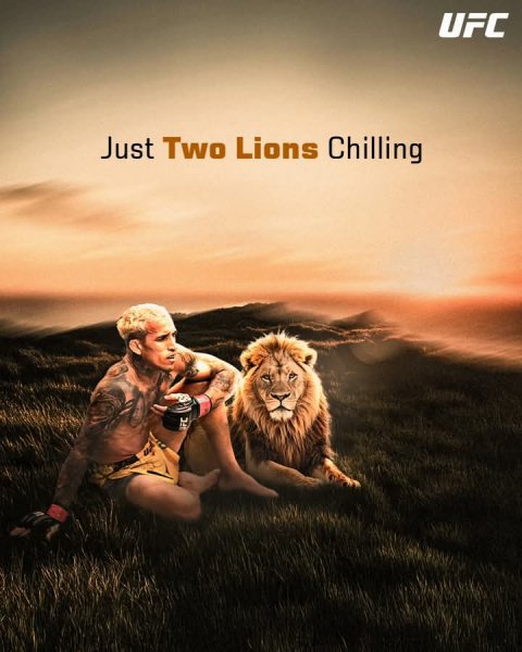 FB IMG 1766053488523