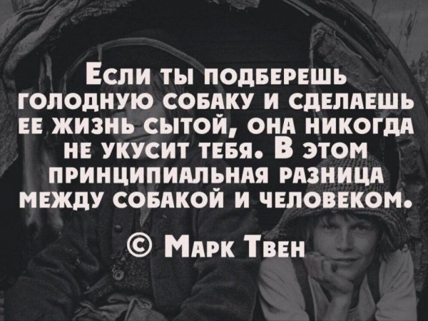 file_96188650