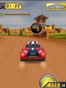 3D Rally Drive Nokia 176x208 N70