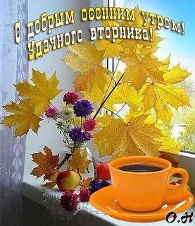 IMG-20240924-WA0002