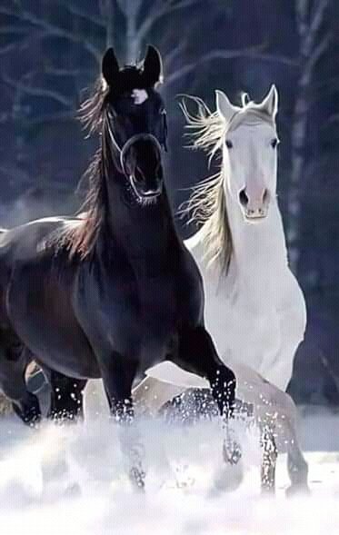 FB IMG 16023130036351249