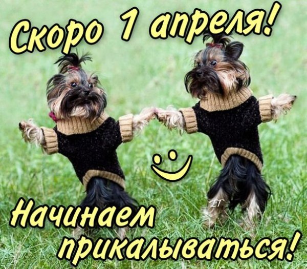 С 1 Апреля (9)