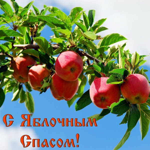 IMG 20220819 211724