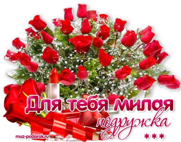 image (15)