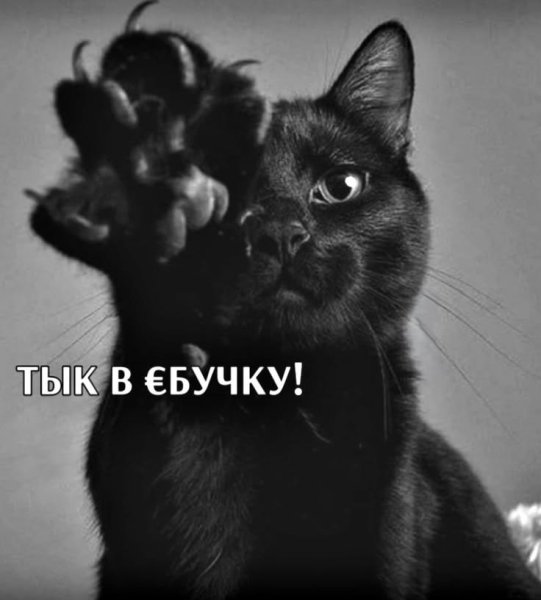 3f58347e25f8ac697a42e11c7bc8ff94