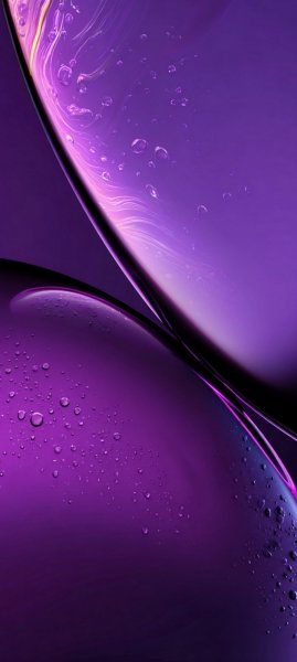 adapted 1080x2408 1773480006