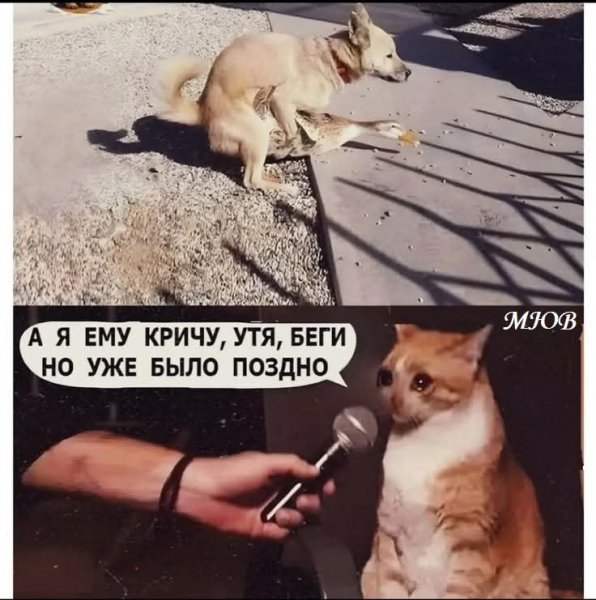 FB IMG 1777487833394