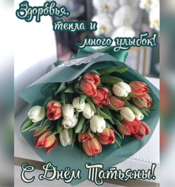 IMG 20260125 144459