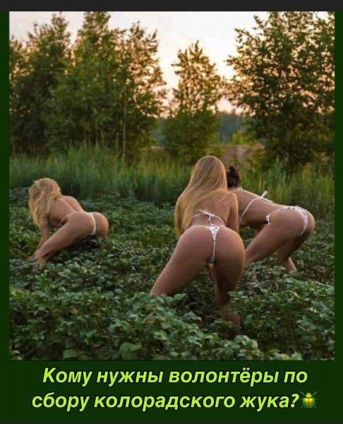 file_93904161