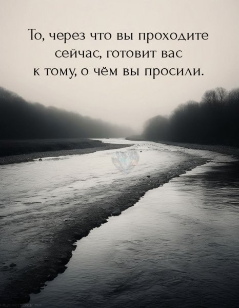 QmBuYpd9Ddw