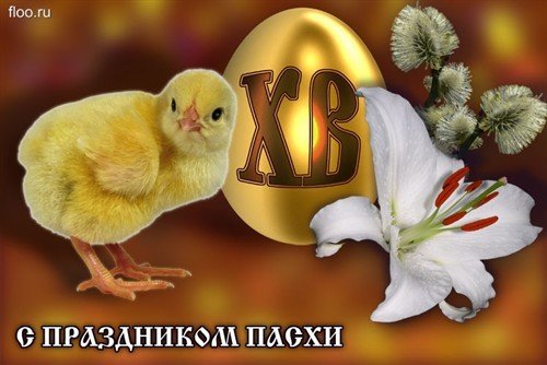 file_6421130