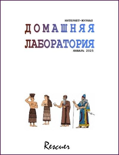 Домашняя Лаборатория 01 (Январь) (2025) DjVu