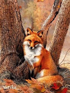 tmp IMG 0219755831595