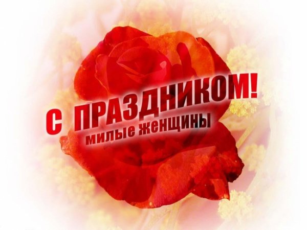 wp000486